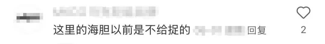 深圳一海滩惊现大量海鲜！有网友称怒捡一百多斤……