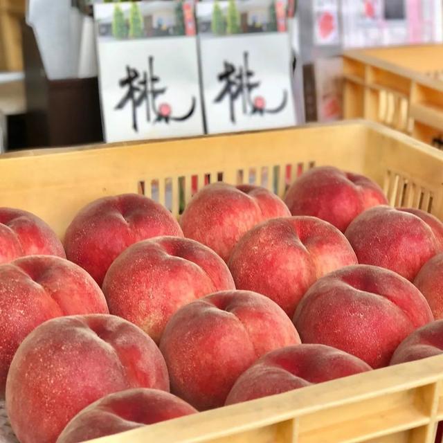 桃币(桃酥饼的做法和配方)
