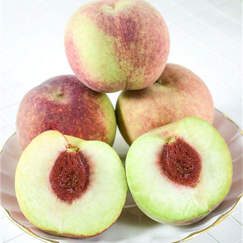 桃币(桃五笔怎么打字)