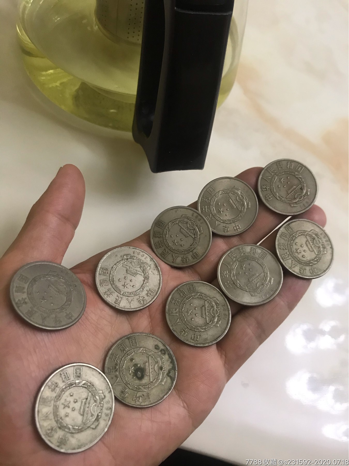 鸽子币(鸽子配对一般需要多久)