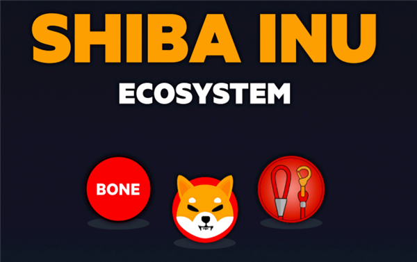 屎币(屎币最新价格走势图)