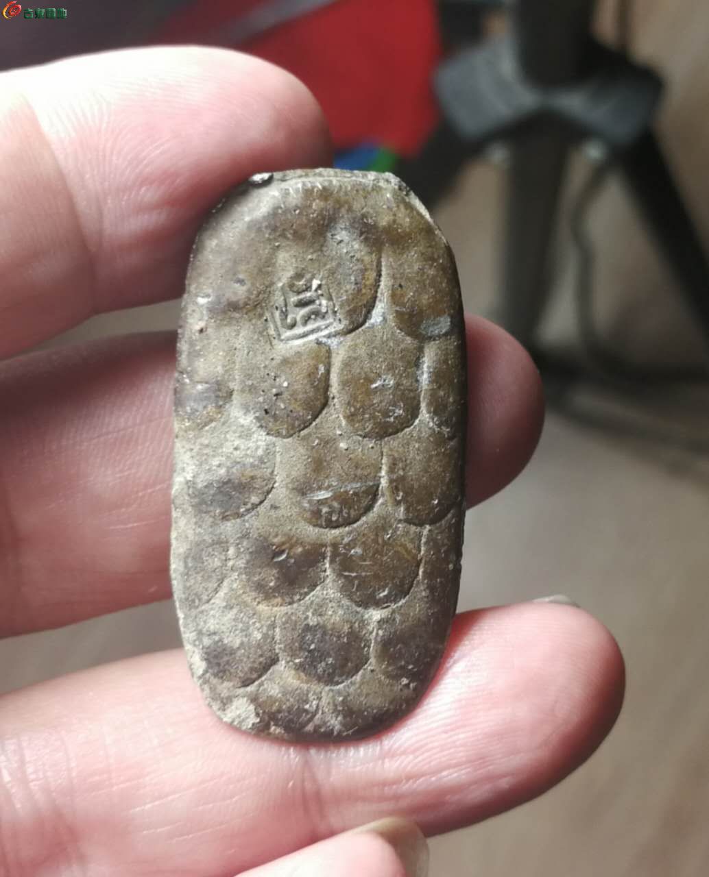 龟币(龟币是什么)